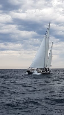 20170730_130526.jpg