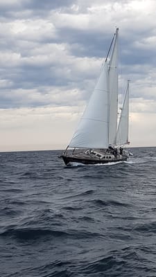 20170730_130527.jpg