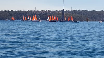 20170729_115219.jpg