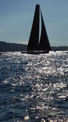 20170729_130939.jpg
