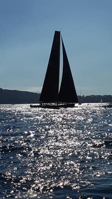 20170729_130941.jpg