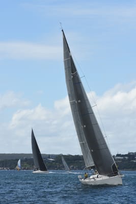 DSC_2469.JPG