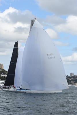 DSC_2471.JPG