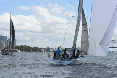 DSC_2475.JPG