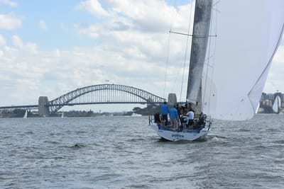 DSC_2478.JPG
