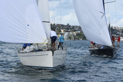 DSC_2481.JPG