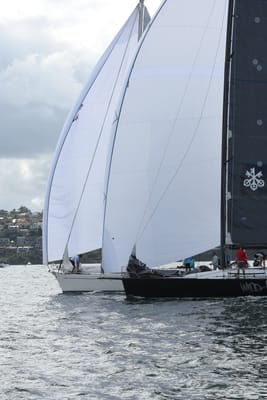 DSC_2488.JPG