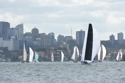 DSC_2490.JPG