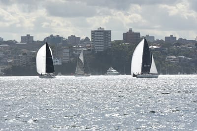 DSC_2494.JPG