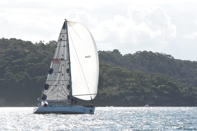 DSC_2504.JPG