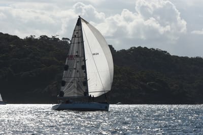 DSC_2505.JPG