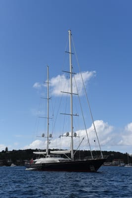 DSC_0179.JPG