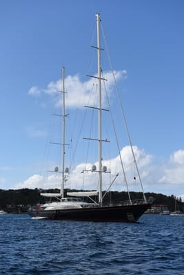 DSC_0180.JPG