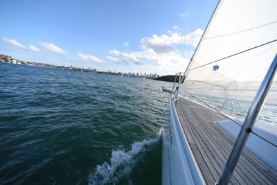 DSC_0198.JPG