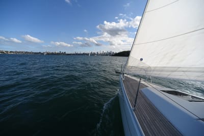 DSC_0202.JPG