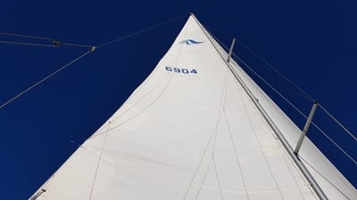 20170709_143902.jpg