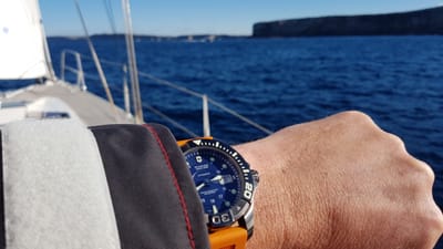 20170709_144102.jpg