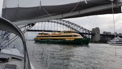 20170610_150924.jpg