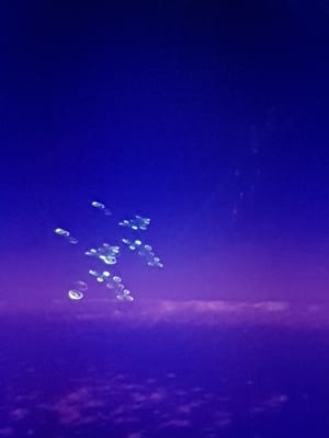 20170814_130802.jpg