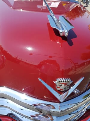 20170819_113454.jpg