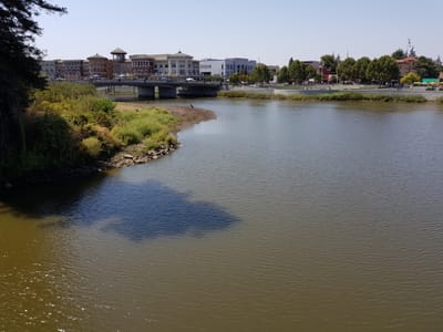 20170819_113719.jpg