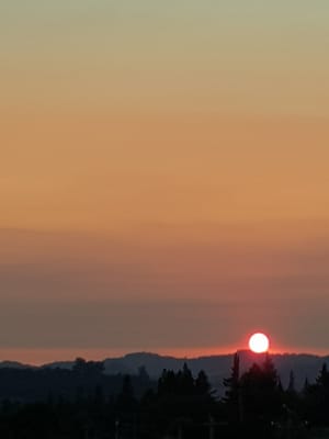 20170819_194034.jpg