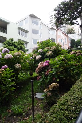 DSC09563.JPG