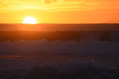 DSC_0776.JPG