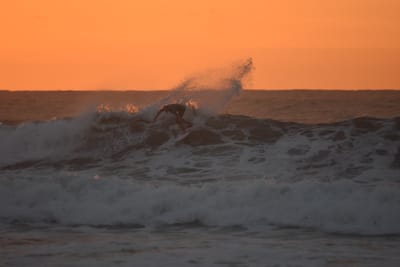 DSC_0781.JPG