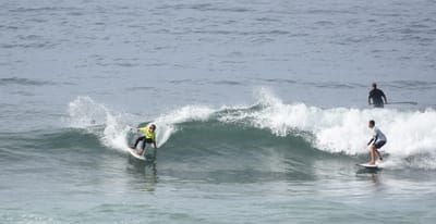 DSC_1763.JPG