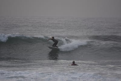 DSC_0848.JPG