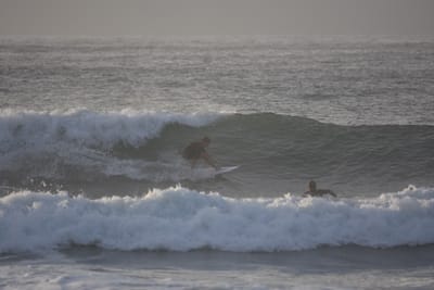 DSC_0876.JPG