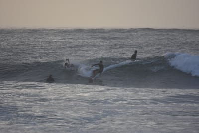 DSC_0890.JPG