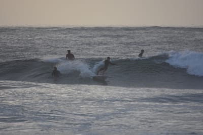 DSC_0892.JPG