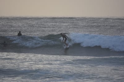 DSC_0893.JPG