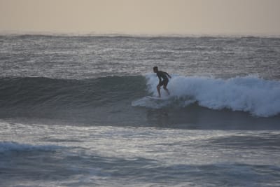 DSC_0894.JPG