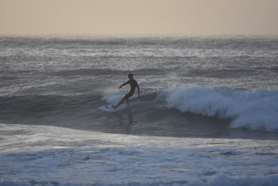 DSC_0896.JPG