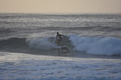 DSC_0900.JPG