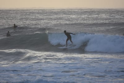 DSC_0901.JPG