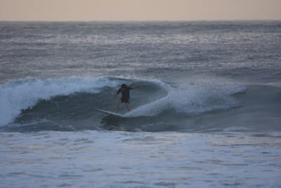DSC_0918.JPG