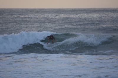 DSC_0919.JPG