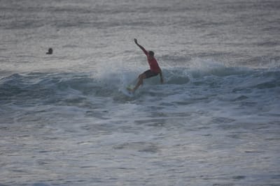 DSC_0976.JPG