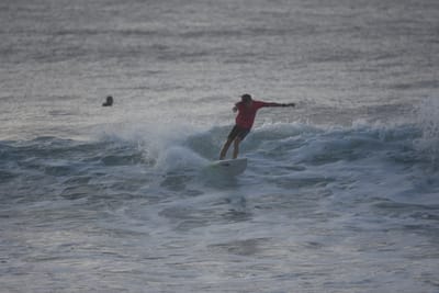 DSC_0978.JPG