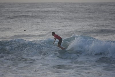 DSC_0979.JPG