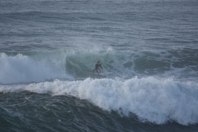 DSC_1029.JPG