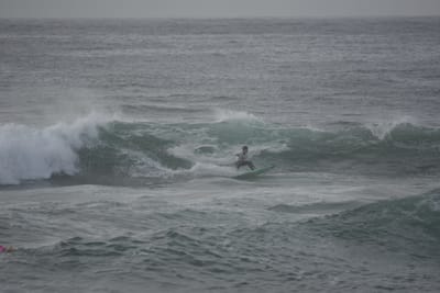 DSC_1077.JPG
