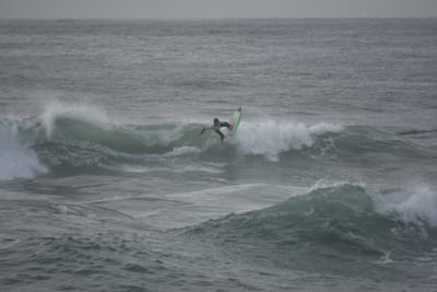 DSC_1081.JPG
