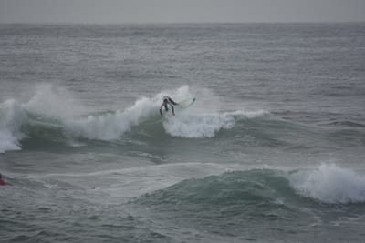 DSC_1083.JPG