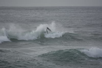 DSC_1084.JPG