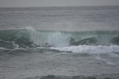 DSC_1087.JPG